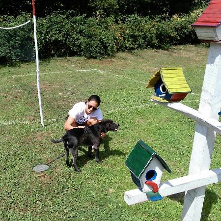 Country House Lozanjska Terasa Guest House Exterior photo